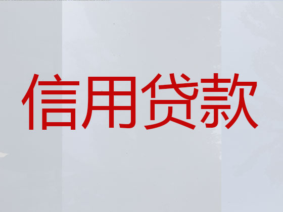 射洪市贷款公司-信用贷款